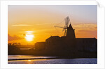 Windmill and saltworks at sunset, Marsala, Sicily, Italy by Anonymous