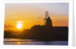 Windmill and saltworks at sunset, Marsala, Sicily, Italy by Anonymous