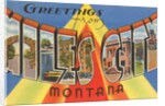 Greetings from Miles City, Montana by Anonymous