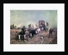 Train of Conestoga Wagons in 1850s America. by Anonymous