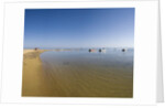 Coast near Scala dei Turchi, Sicily, Italy by Anonymous