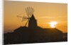 Windmill and saltworks at sunset, Marsala, Sicily, Italy by Anonymous