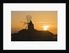Windmill and saltworks at sunset, Marsala, Sicily, Italy by Anonymous