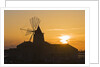 Windmill and saltworks at sunset, Marsala, Sicily, Italy by Anonymous