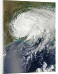 Tropical Storm Isaac (09L) over Louisiana by Anonymous