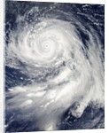 Super Typhoon Bolaven (16W) in the Philippine Sea by Anonymous
