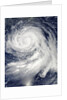 Super Typhoon Bolaven (16W) in the Philippine Sea by Anonymous