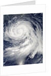 Super Typhoon Bolaven (16W) in the Philippine Sea by Anonymous