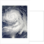 Super Typhoon Bolaven (16W) in the Philippine Sea by Anonymous