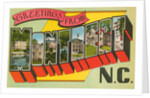 Greetings from Montreat, North Carolina by Anonymous