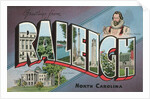 Greetings from Raleigh, North Carolina by Anonymous