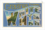 Greetings from White Mountains, New Hampshire by Anonymous