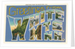 Greetings from White Mountains, New Hampshire by Anonymous