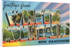 Greetings from White Mountains, New Hampshire by Anonymous