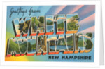 Greetings from White Mountains, New Hampshire by Anonymous