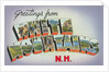 Greetings from White Mountains, New Hampshire by Anonymous