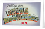 Greetings from White Mountains, New Hampshire by Anonymous