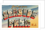 Greetings from Seaside Park, New Jersey by Anonymous