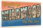 Greetings from Wildwood-by-the-Sea, New Jersey by Anonymous