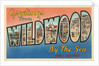 Greetings from Wildwood-by-the-Sea, New Jersey by Anonymous