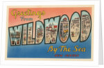 Greetings from Wildwood-by-the-Sea, New Jersey by Anonymous