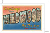 Greetings from Wildwood-by-the-Sea, New Jersey by Anonymous
