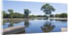 Lagoon in front of Pousada Rio Mutum, Mato Grosso, Brazil by Anonymous