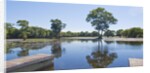 Lagoon in front of Pousada Rio Mutum, Mato Grosso, Brazil by Anonymous