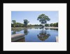 Lagoon in front of Pousada Rio Mutum, Mato Grosso, Brazil by Anonymous