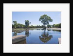 Lagoon in front of Pousada Rio Mutum, Mato Grosso, Brazil by Anonymous
