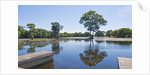 Lagoon in front of Pousada Rio Mutum, Mato Grosso, Brazil by Anonymous