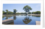 Lagoon in front of Pousada Rio Mutum, Mato Grosso, Brazil by Anonymous