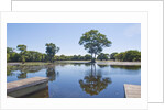 Lagoon in front of Pousada Rio Mutum, Mato Grosso, Brazil by Anonymous