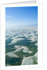 Aerial view of Lencois Maranhenses National Park Brazil by Anonymous