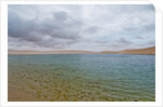 White Sand dunes and fresh water lakes at Lencois Maranheinses National Park, Brazil by Anonymous