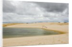 White Sand dunes and fresh water lakes at Lencois Maranheinses National Park, Brazil by Anonymous