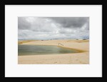 White Sand dunes and fresh water lakes at Lencois Maranheinses National Park, Brazil by Anonymous