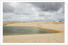 White Sand dunes and fresh water lakes at Lencois Maranheinses National Park, Brazil by Anonymous