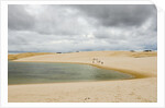 White Sand dunes and fresh water lakes at Lencois Maranheinses National Park, Brazil by Anonymous