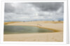 White Sand dunes and fresh water lakes at Lencois Maranheinses National Park, Brazil by Anonymous