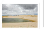 White Sand dunes and fresh water lakes at Lencois Maranheinses National Park, Brazil by Anonymous