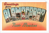 Greetings from Alamogordo, New Mexico by Anonymous