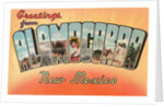 Greetings from Alamogordo, New Mexico by Anonymous