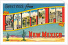 Greetings from Santa Fe, New Mexico by Anonymous