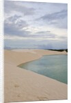 White Sand dunes and fresh water lakes at Lencois Maranheinses National Park, Brazil by Anonymous