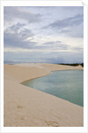 White Sand dunes and fresh water lakes at Lencois Maranheinses National Park, Brazil by Anonymous