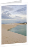 White Sand dunes and fresh water lakes at Lencois Maranheinses National Park, Brazil by Anonymous