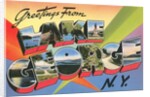 Greetings from Lake George, New York by Anonymous