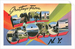 Greetings from Lake George, New York by Anonymous
