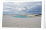 White Sand dunes and fresh water lakes at Lencois Maranheinses National Park, Brazil by Anonymous